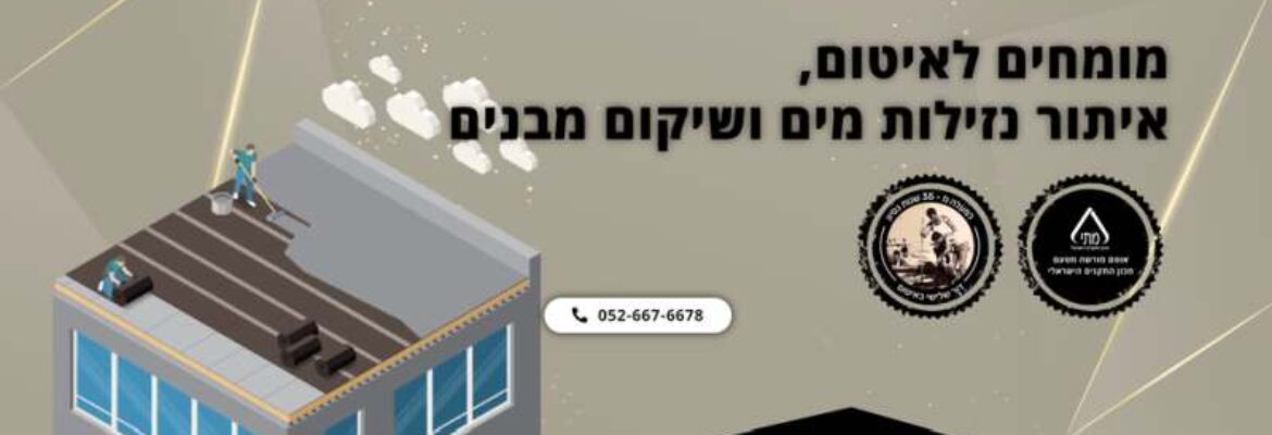 גולד פתרונות מבנים