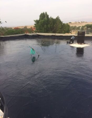 איטום בראשית