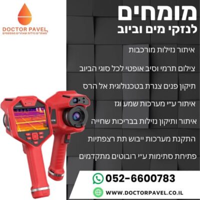 דוקטור פבל